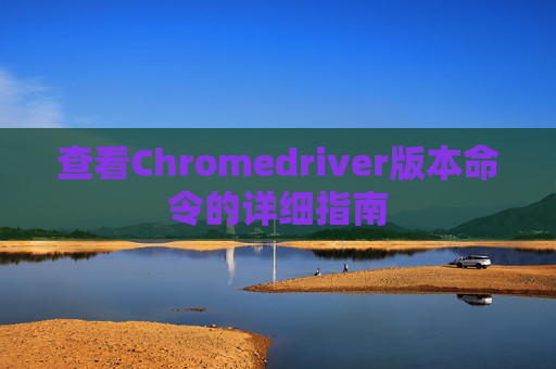 查看Chromedriver版本命令的详细指南
